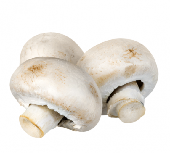 L/ Champignon De Paris 1kg 20/40 Hollande